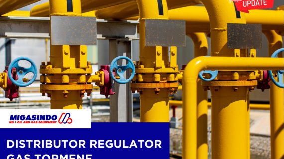 Distributor Regulator Gas Tormene