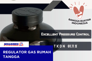 Gas Regulator Rumah Tangga