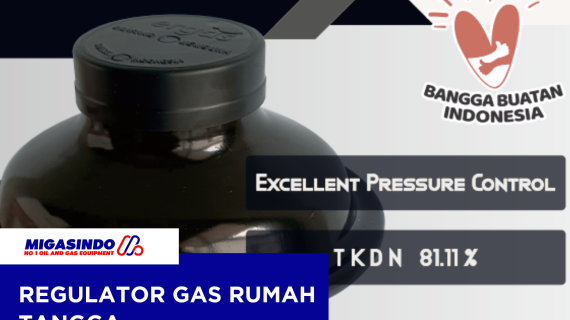 Regulator Gas Rumah Tangga