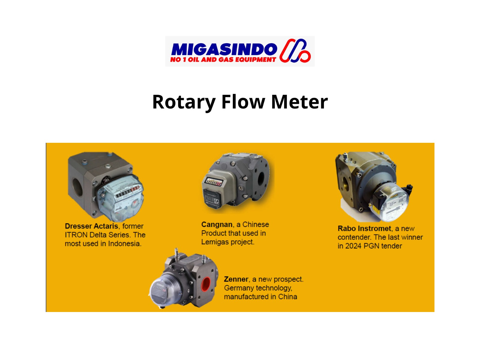 Rotary Gas Meter