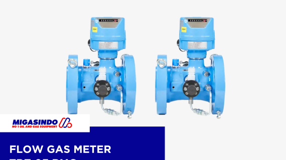 Jual Flow Gas Meter TRZ 03 RMG