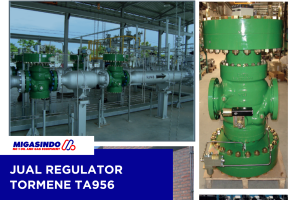 Jual Regulator TA956 Tormene
