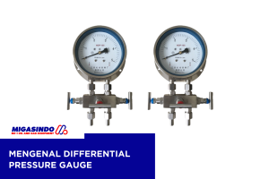 Mengenal Differential Pressure Gauge