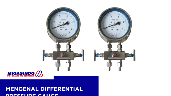 Mengenal Differential Pressure Gauge