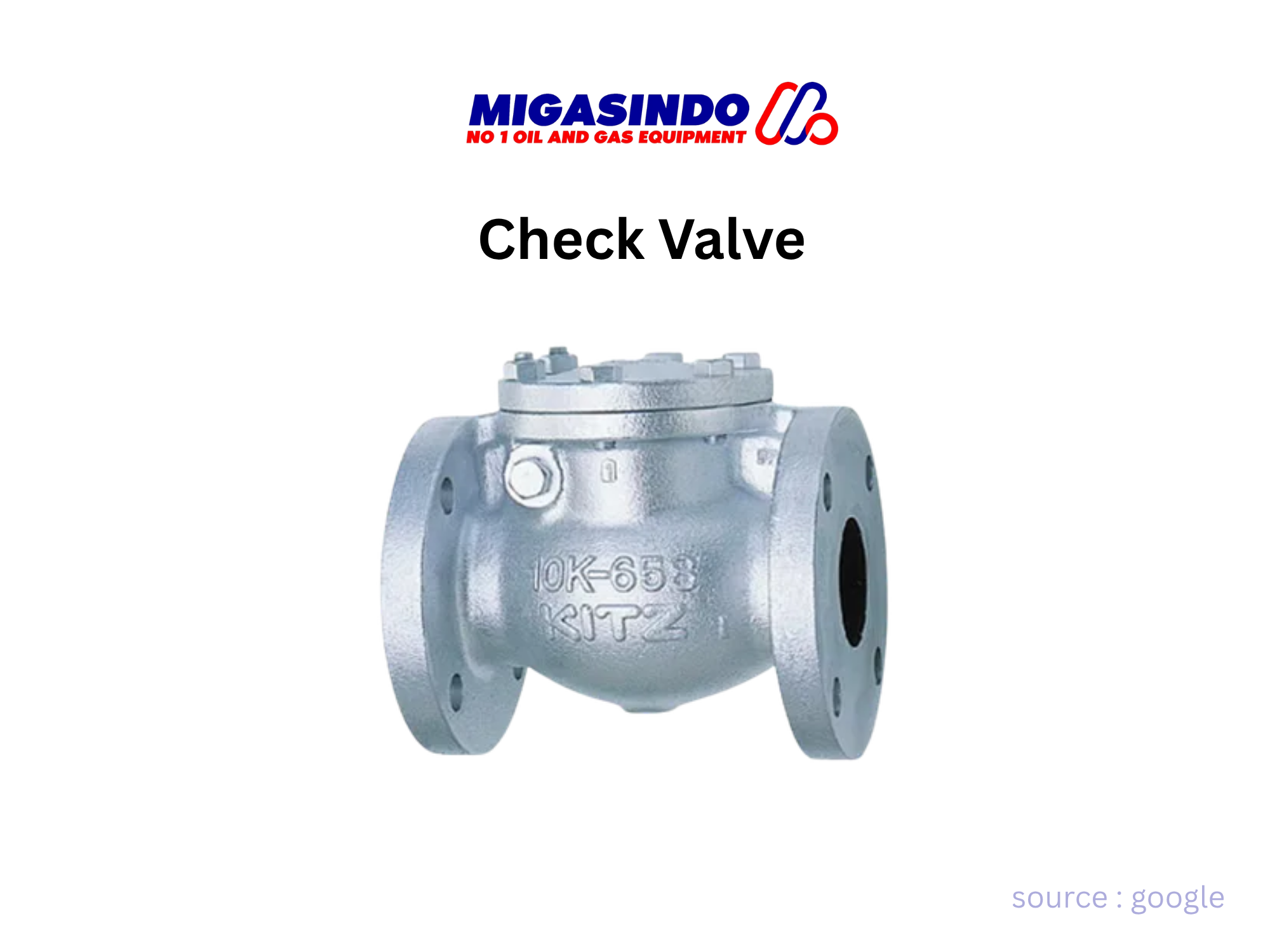 Check Valve
