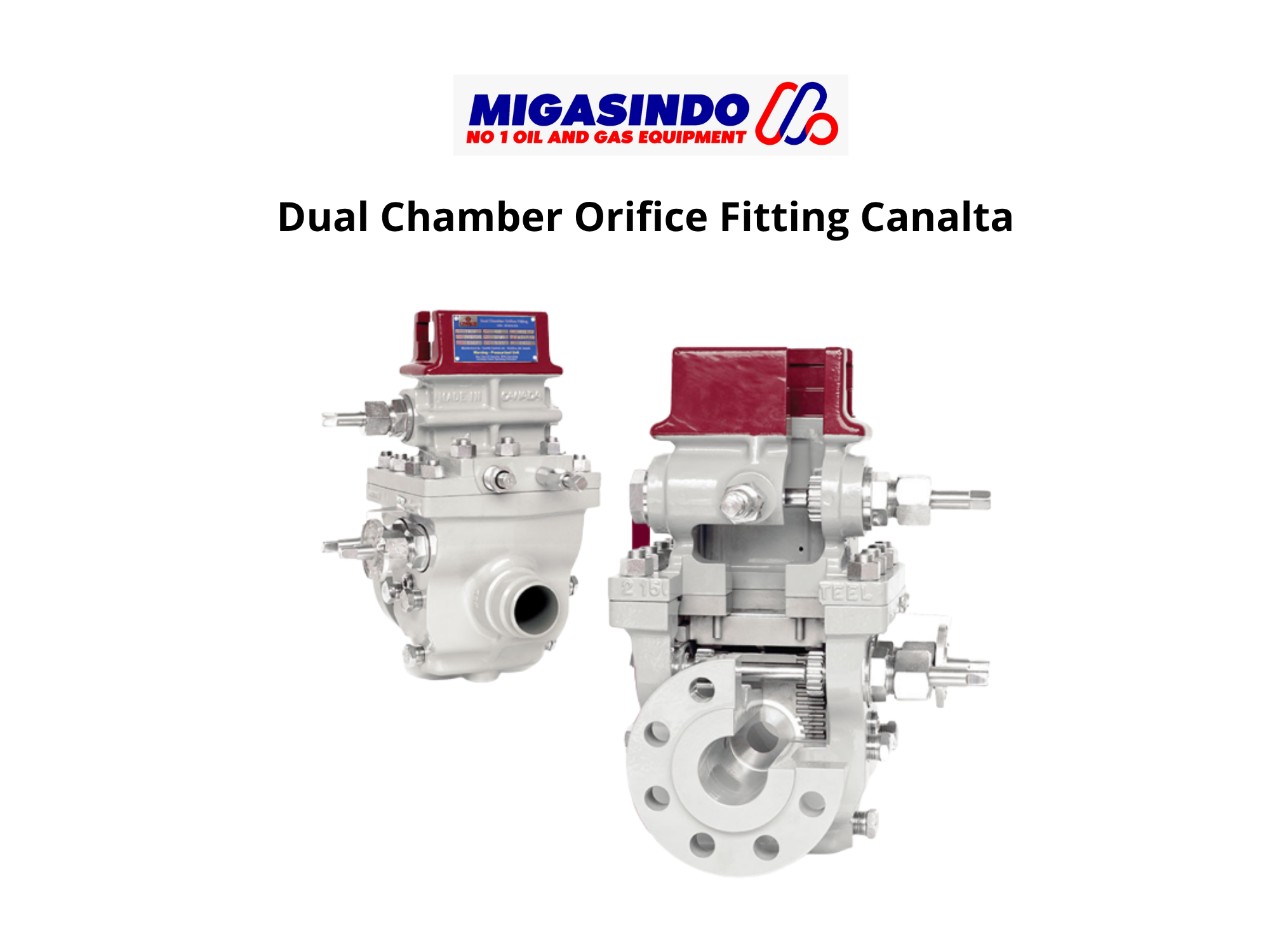 Dual Chamber Orifice Fitting Canalta